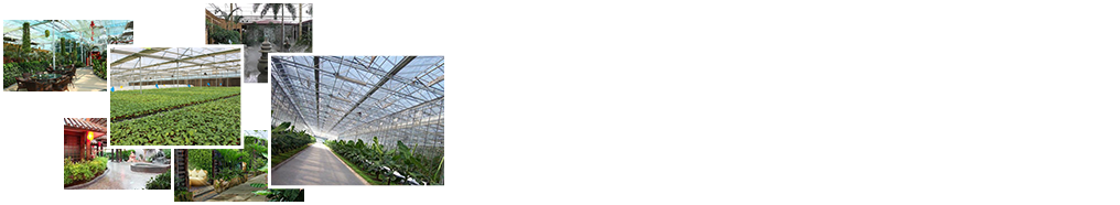 24小時(shí)免費咨詢(xún)、免費技術(shù)指導