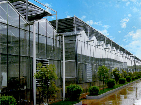 陜西溫室大棚生產(chǎn)廠(chǎng)家