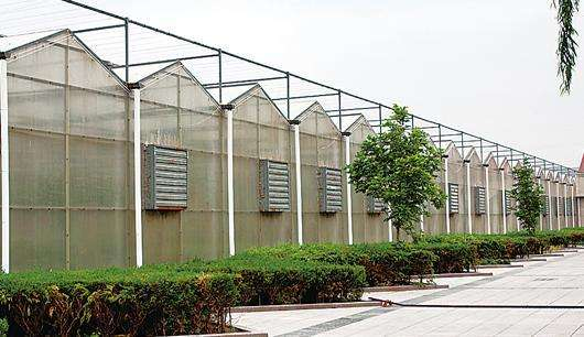 規模大，質(zhì)量好