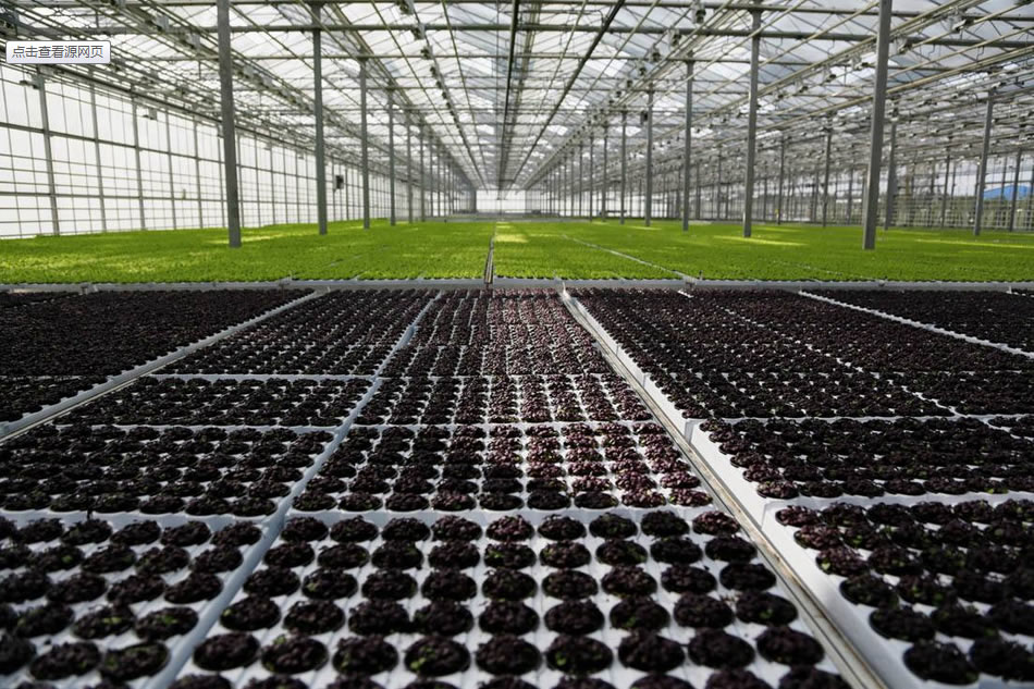 實(shí)力雄厚，品質(zhì)保證！