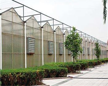 規模大，質(zhì)量好