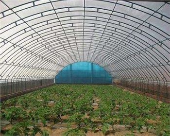 技術(shù)專(zhuān)業(yè)，服務(wù)到位