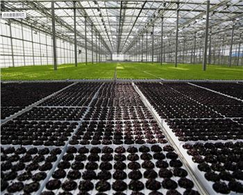 實(shí)力雄厚，品質(zhì)保證！