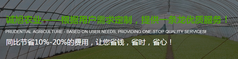 陜西溫室大棚施工