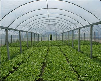 溫室大棚2025年最新趨勢