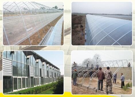 陜西溫室大棚哪家好 陜西溫室大棚哪家好